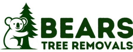 Bears Tree Removal
