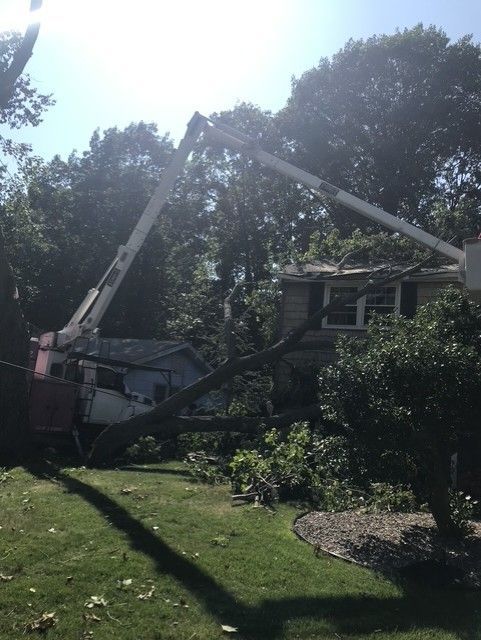 Crane lifting a large tree branch in a sunny suburban backyard with a house and lawn.