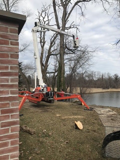 Tree-removal truck with extended crane beside a river near a house, trimming a tall tree