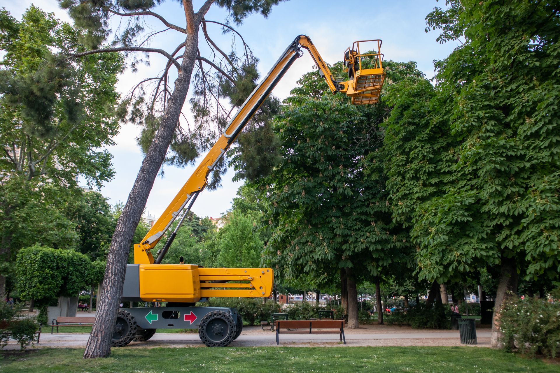 Yellow aerial lift trimming a tree in a park. Yellow aerial lift trimming a tree in a park.