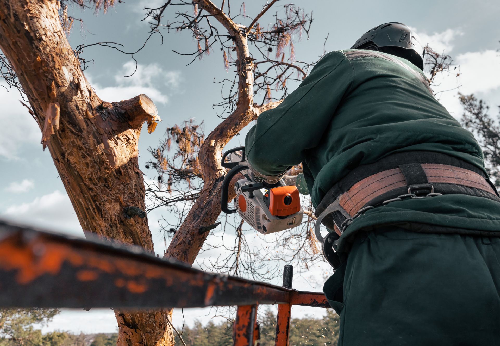 Arborist using a chainsaw to prune a tree branch from a lift, wearing safety gear. Arborist using a chainsaw to prune a tree branch from a lift, wearing safety gear.