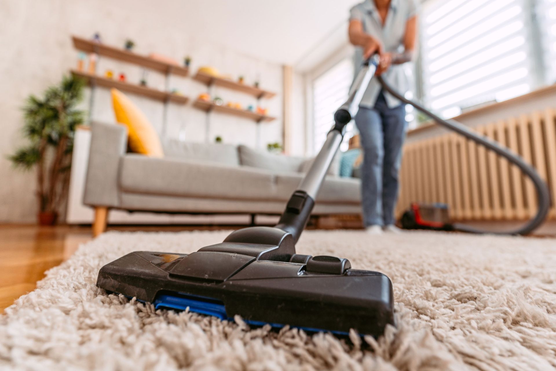 Carpet Cleaning | Miles City, MT | Pioneer Carpet Cleaners