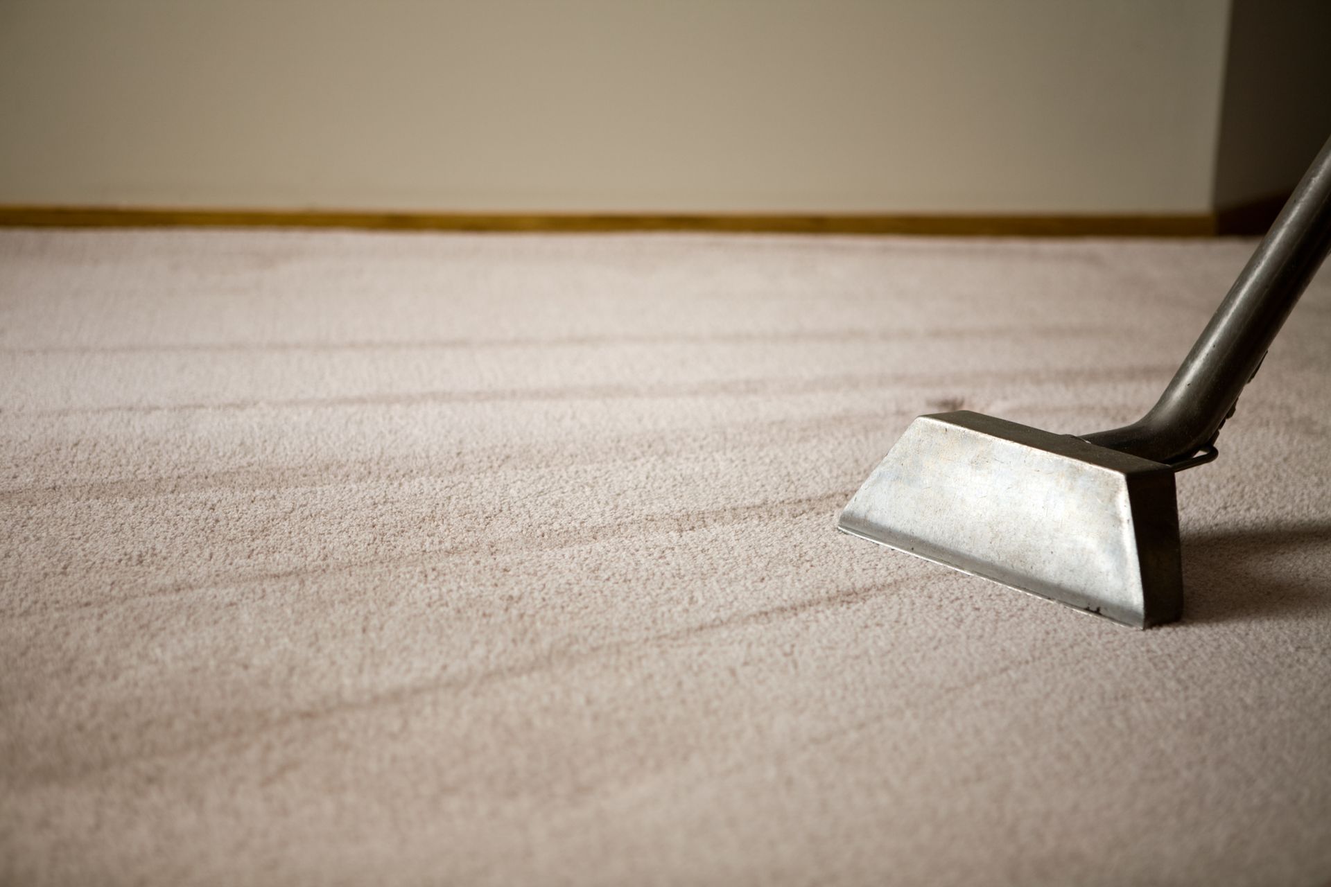 Man And Woman Cleaning Carpet | Miles City, MT | Pioneer Carpet Cleaners Man And Woman Cleaning Carpet | Miles City, MT | Pioneer Carpet Cleaners
