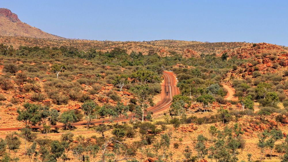 A Dirt Road in the Middle of a Desert Surrounded by Trees — Asplum & Civil In Alice Springs, NT