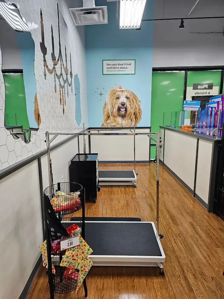 Interior of a pet grooming shop; dog scale in foreground, shelves with products, dog art on wall.