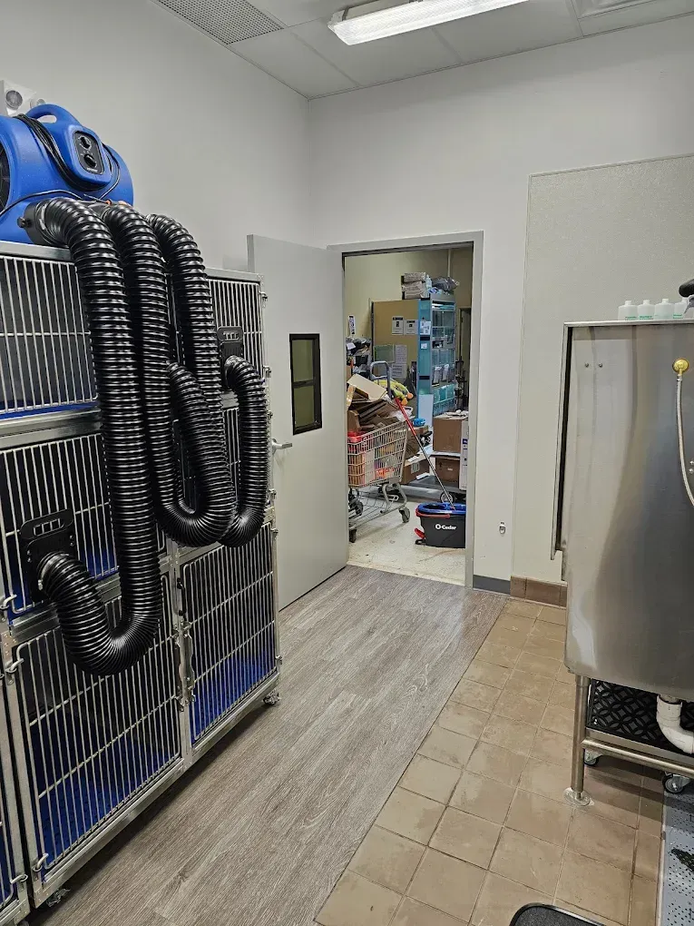 Room with animal cages, a blue air mover, and open door to cluttered storage area.