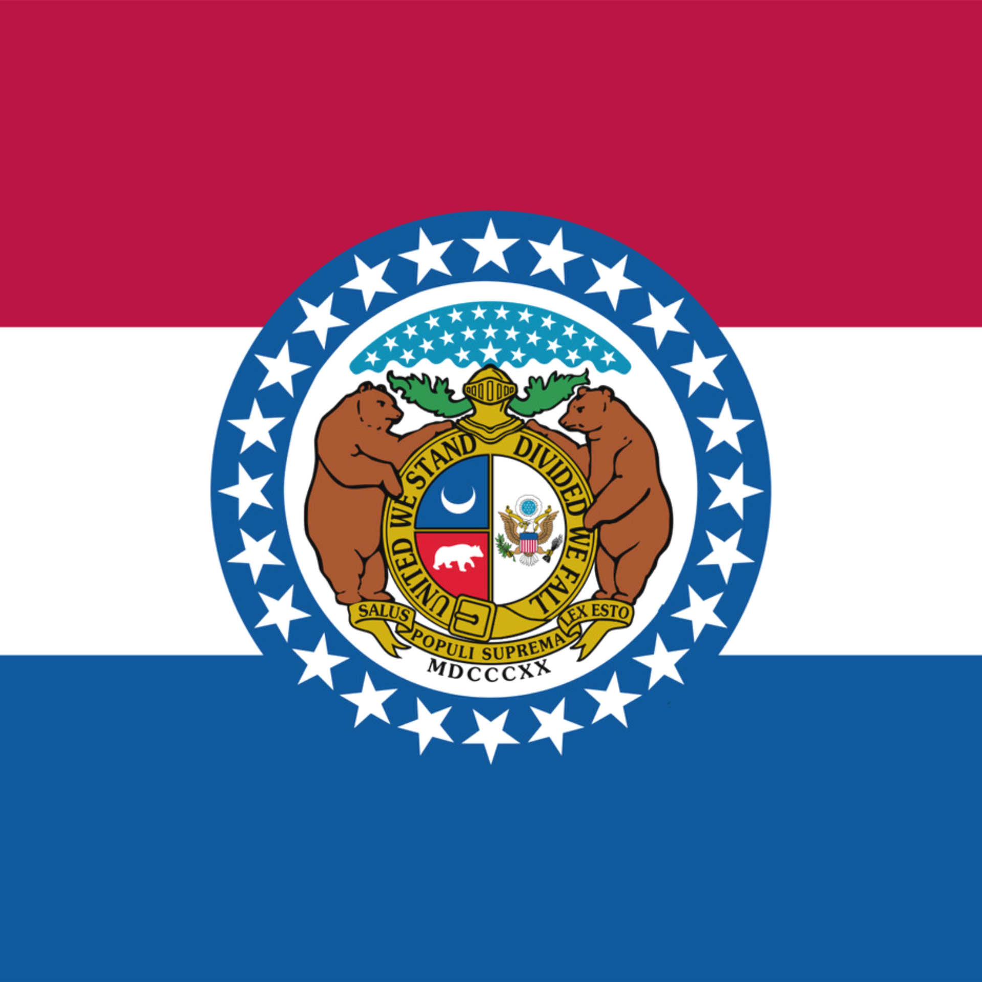 A red white and blue flag with a coat of arms