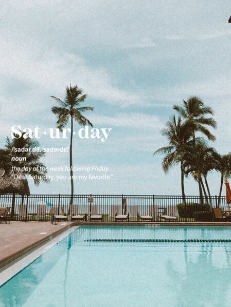 A swimming pool surrounded by palm trees on saturday