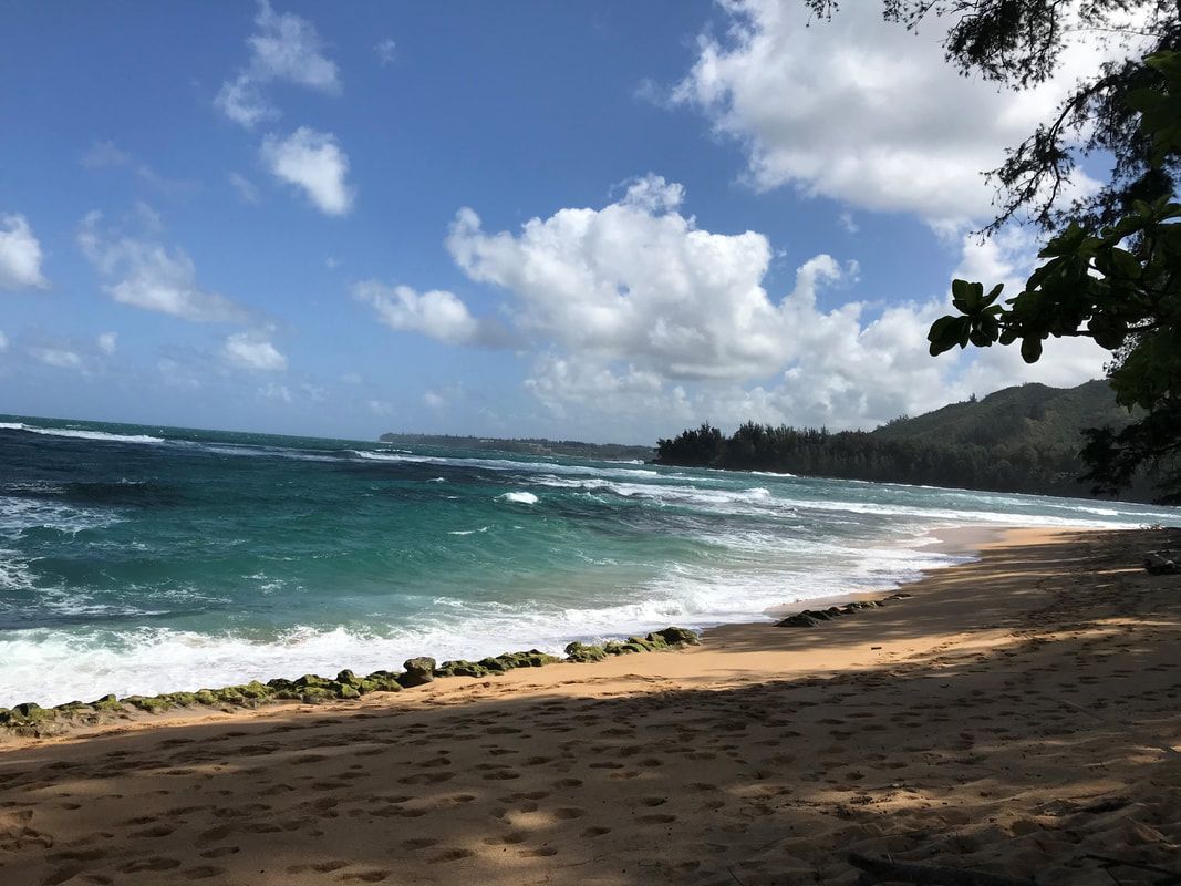 A beach with waves coming in on a sunny day