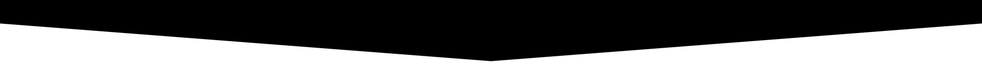 Black Divider
