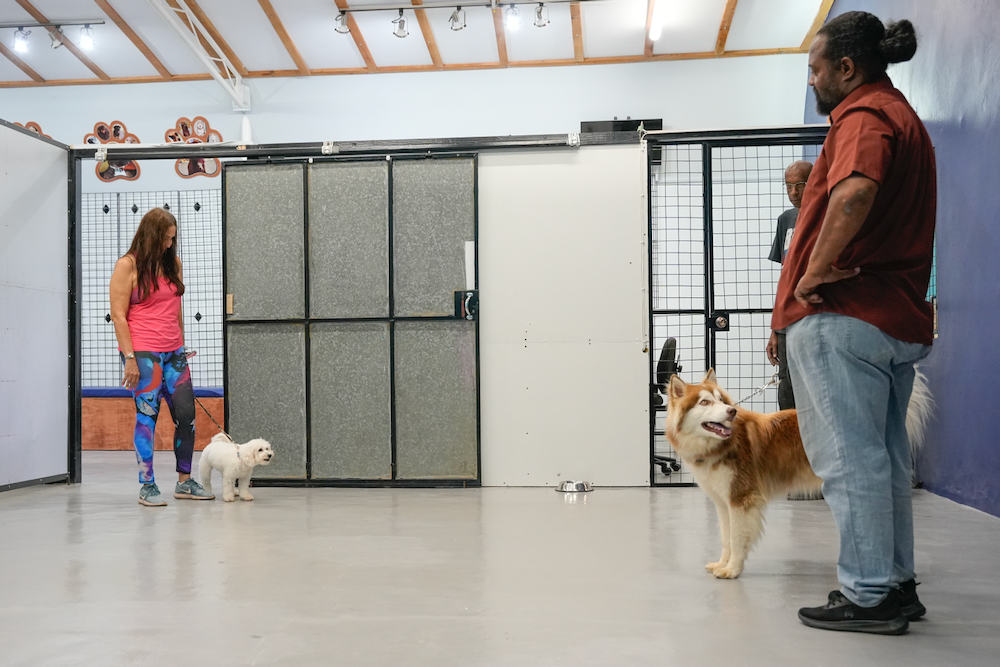 A man and a woman are standing next to a dog in a room.