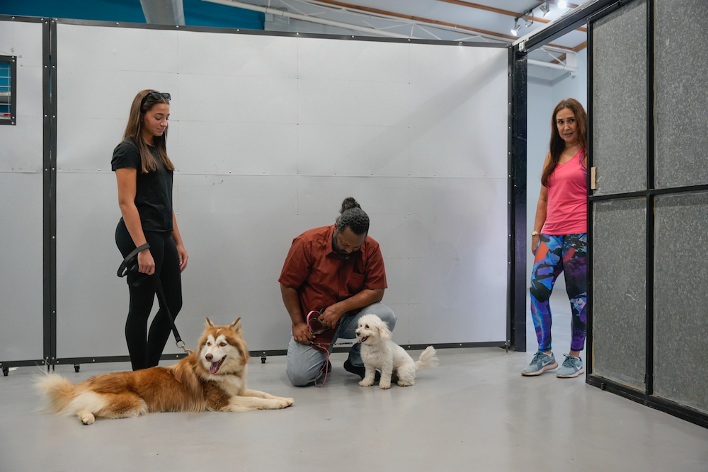 A man and two women are standing next to two dogs in a room.