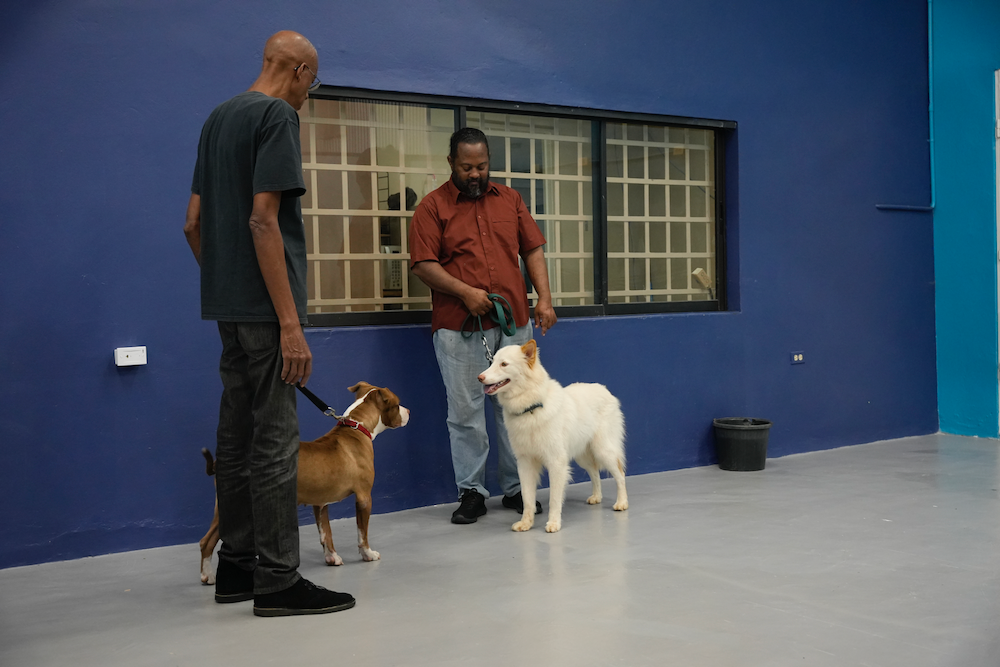 Two men are standing next to two dogs in a room.
