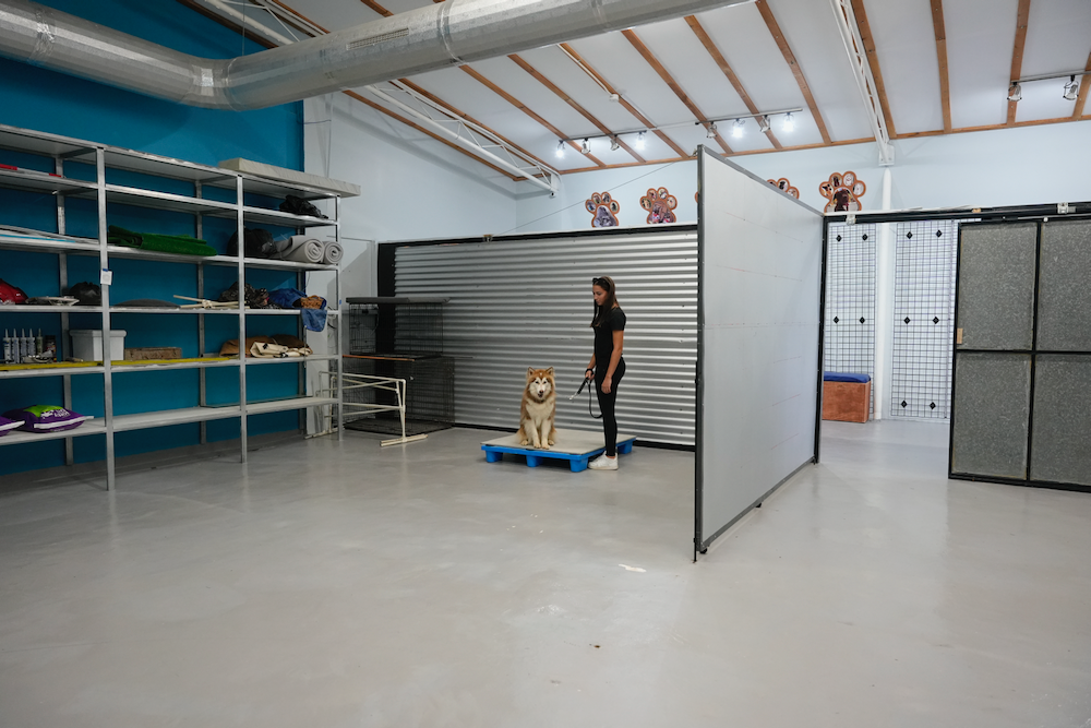 A man is standing next to a dog on a pallet in a room.