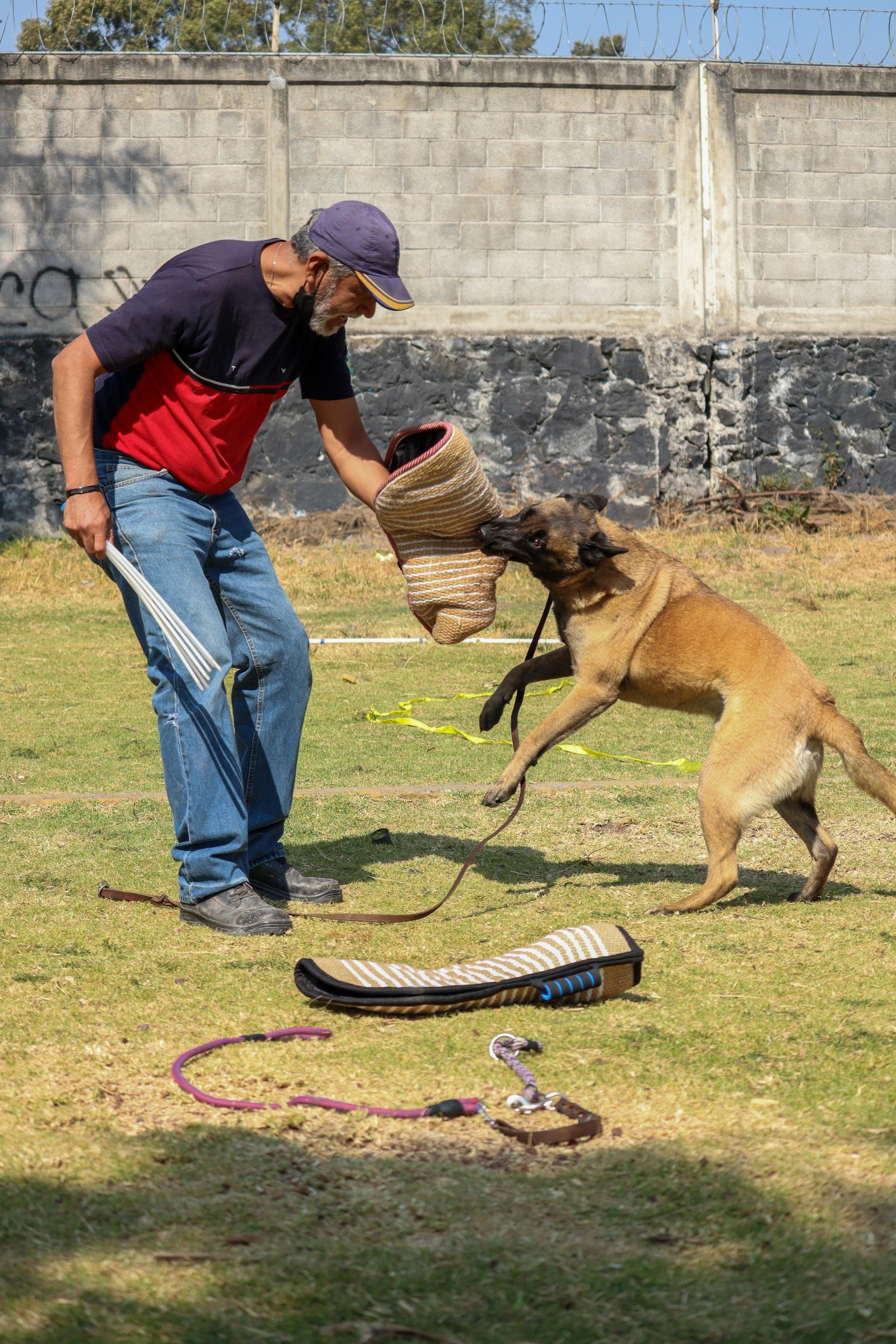 A man is playing with a dog in a field.
