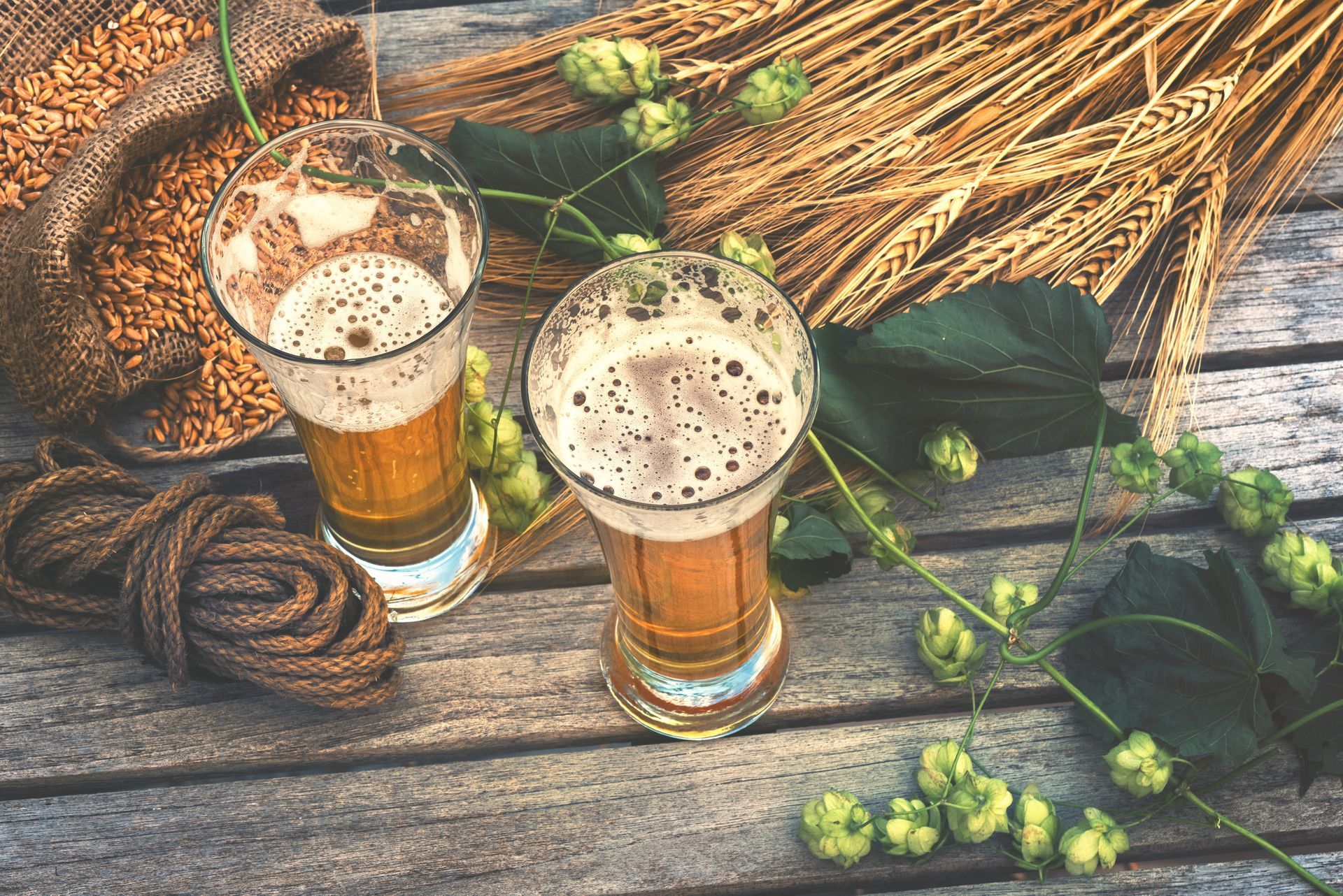 Two glasses of beer and hops on a wooden table.