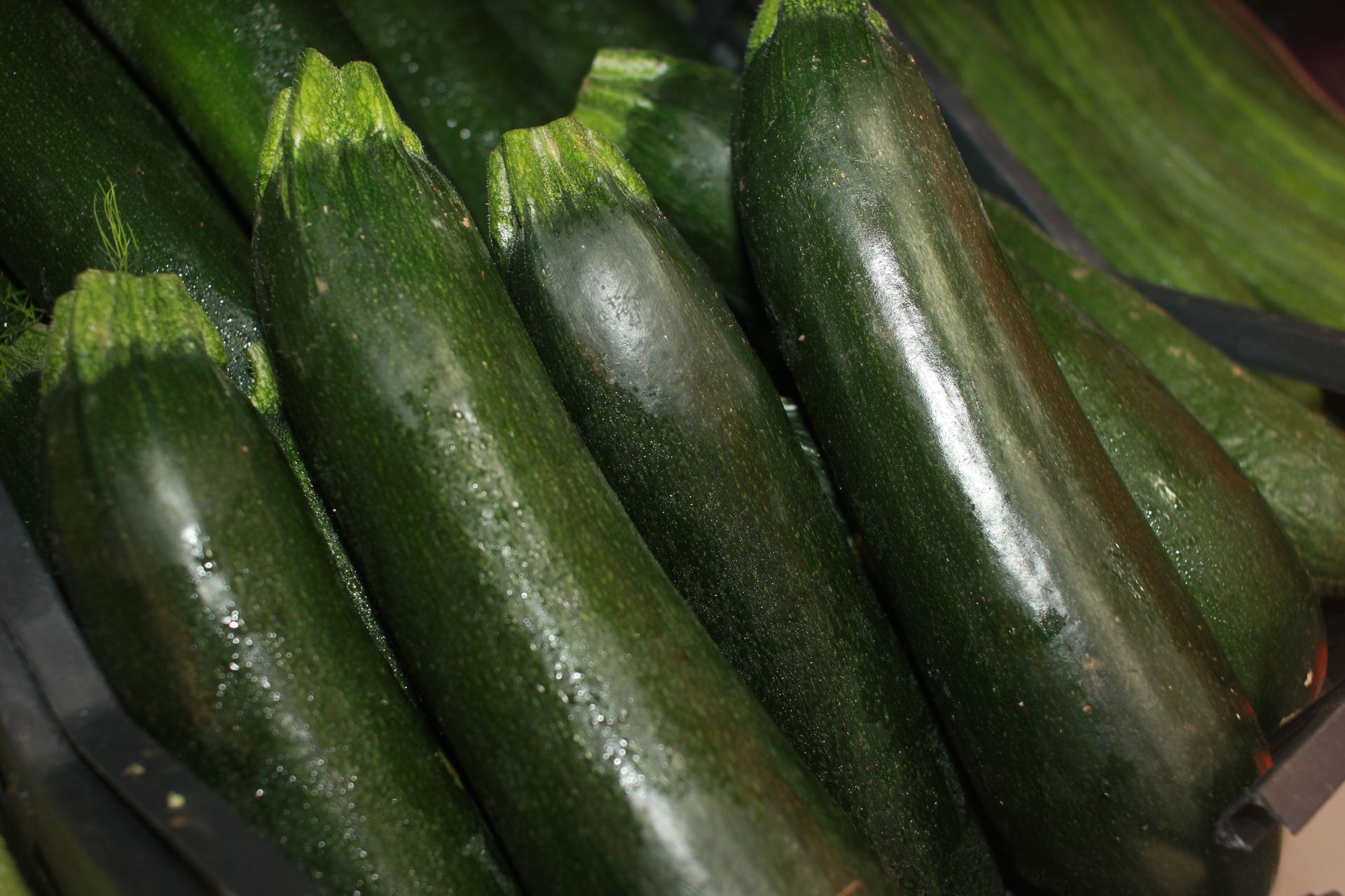 Un mazzo di zucchine verdi sono sistemate una sopra l'altra su un tavolo.