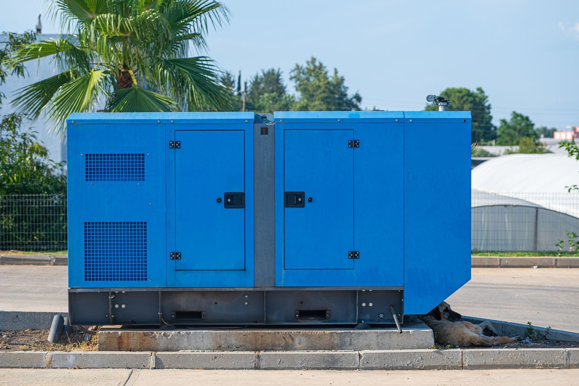 A blue generator is parked on the side of the road next to a palm tree.