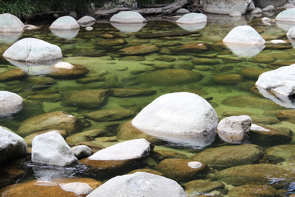 Shallow clear stream with white boulders and green stones beneath the water