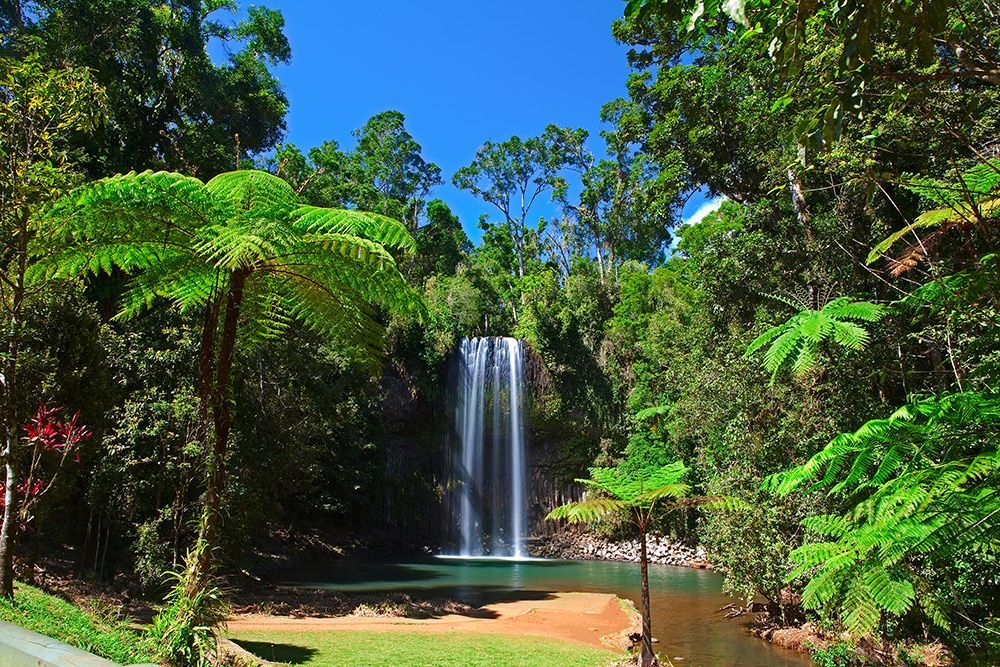 Waterfall cascading into a tropical pool surrounded by lush green forest under a bright blue sky