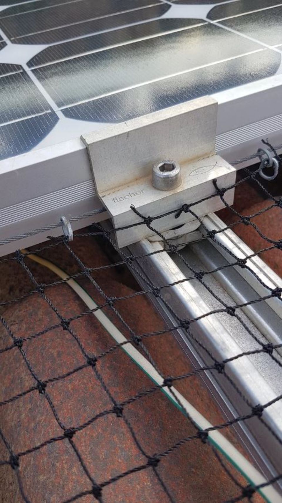 prodotto della linea ECOBIRDS