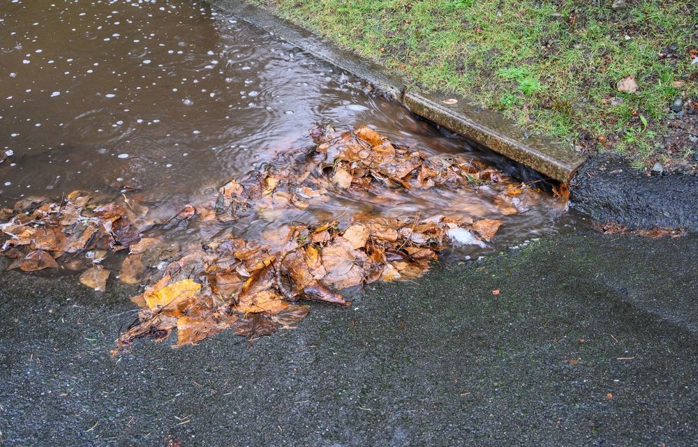 A Puddle of Water and Leaves on the Side of a Road — Accredited Plumbing in Manyana, NSW