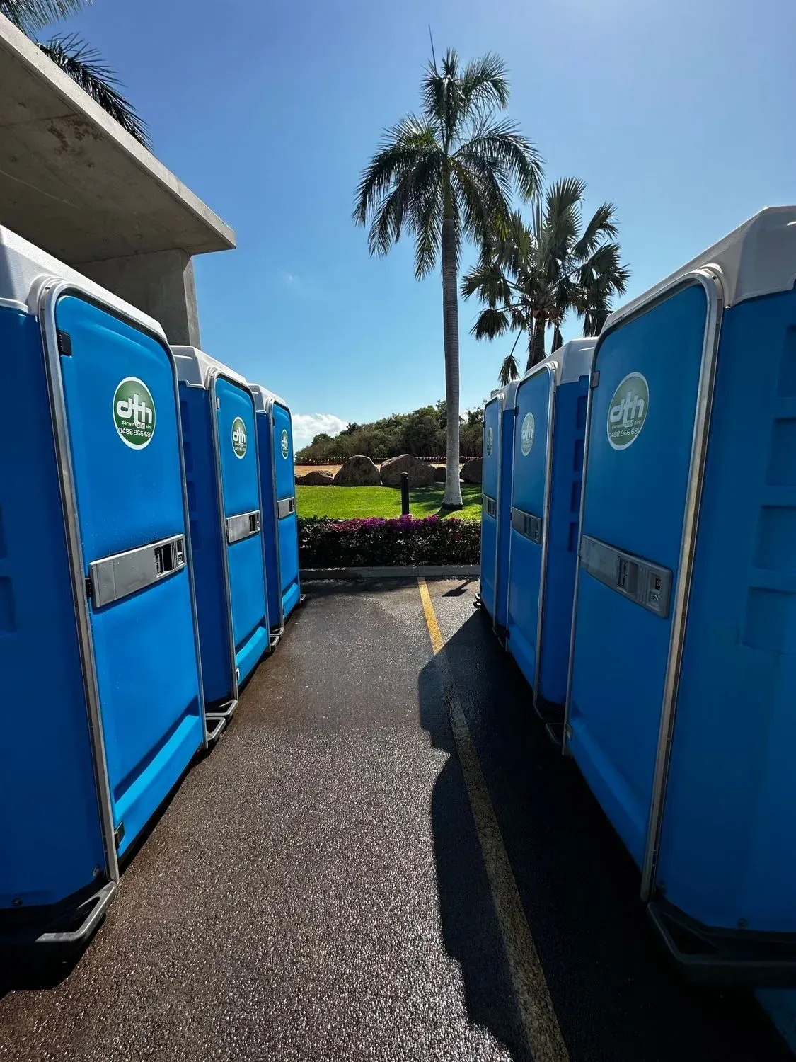 Blue Portable Toilets in a Sunny Outdoor Walkway With Palm Trees in the Background — Darwin Toilet Hire in Rosebery, NT