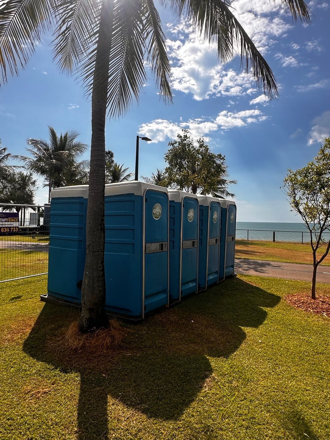 Blue Portable Toilets Beside a Palm Tree on a Grassy Beach — Darwin Toilet Hire in Rosebery, NT
