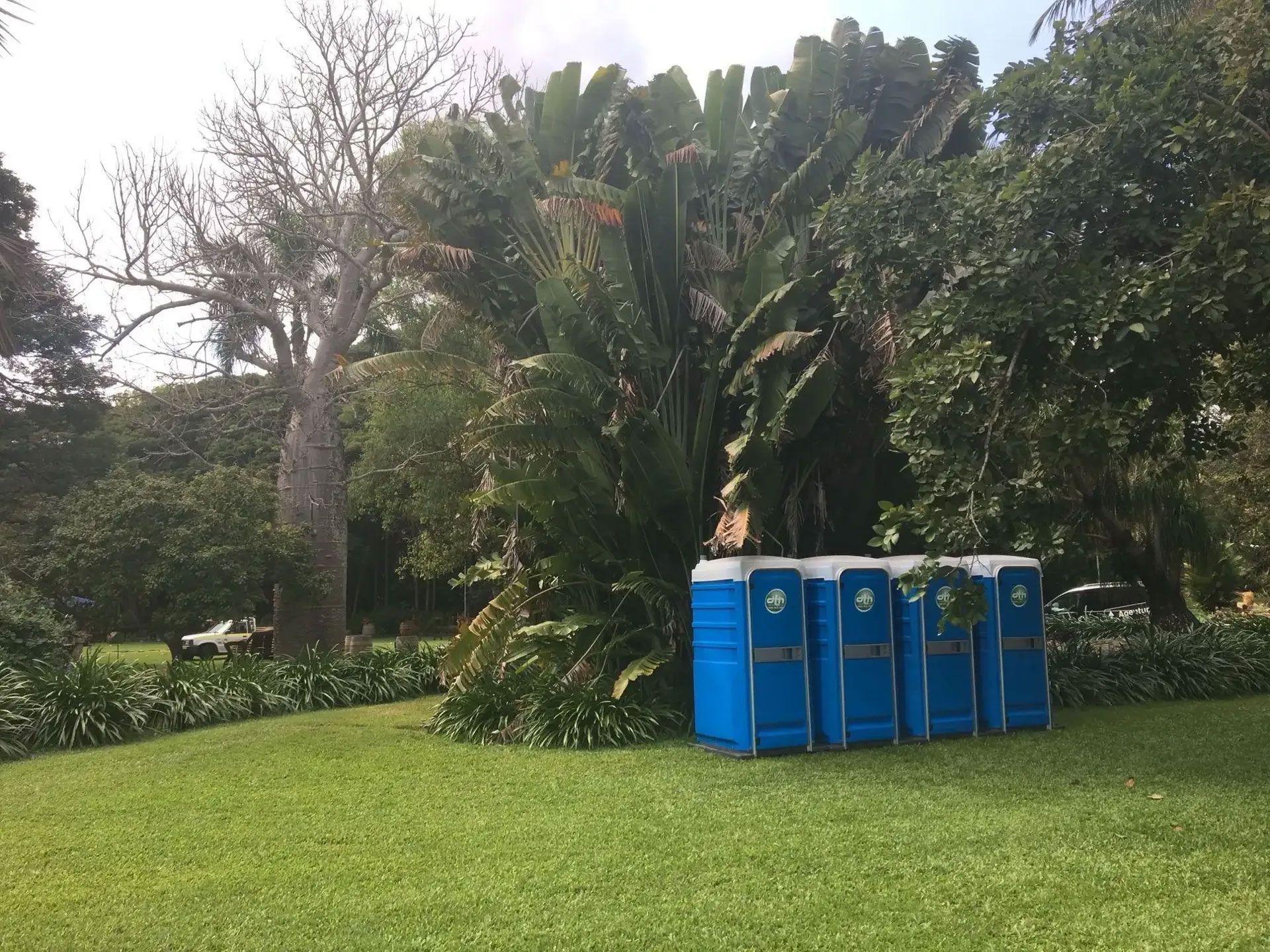 Blue Portable Toilets on a Grassy Lawn Beside Dense Tropical Plants and Trees — Darwin Toilet Hire in Rosebery, NT