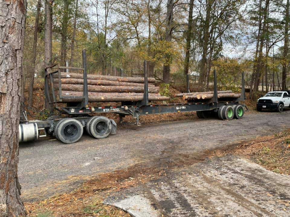 A semi truck is carrying logs down a dirt road.