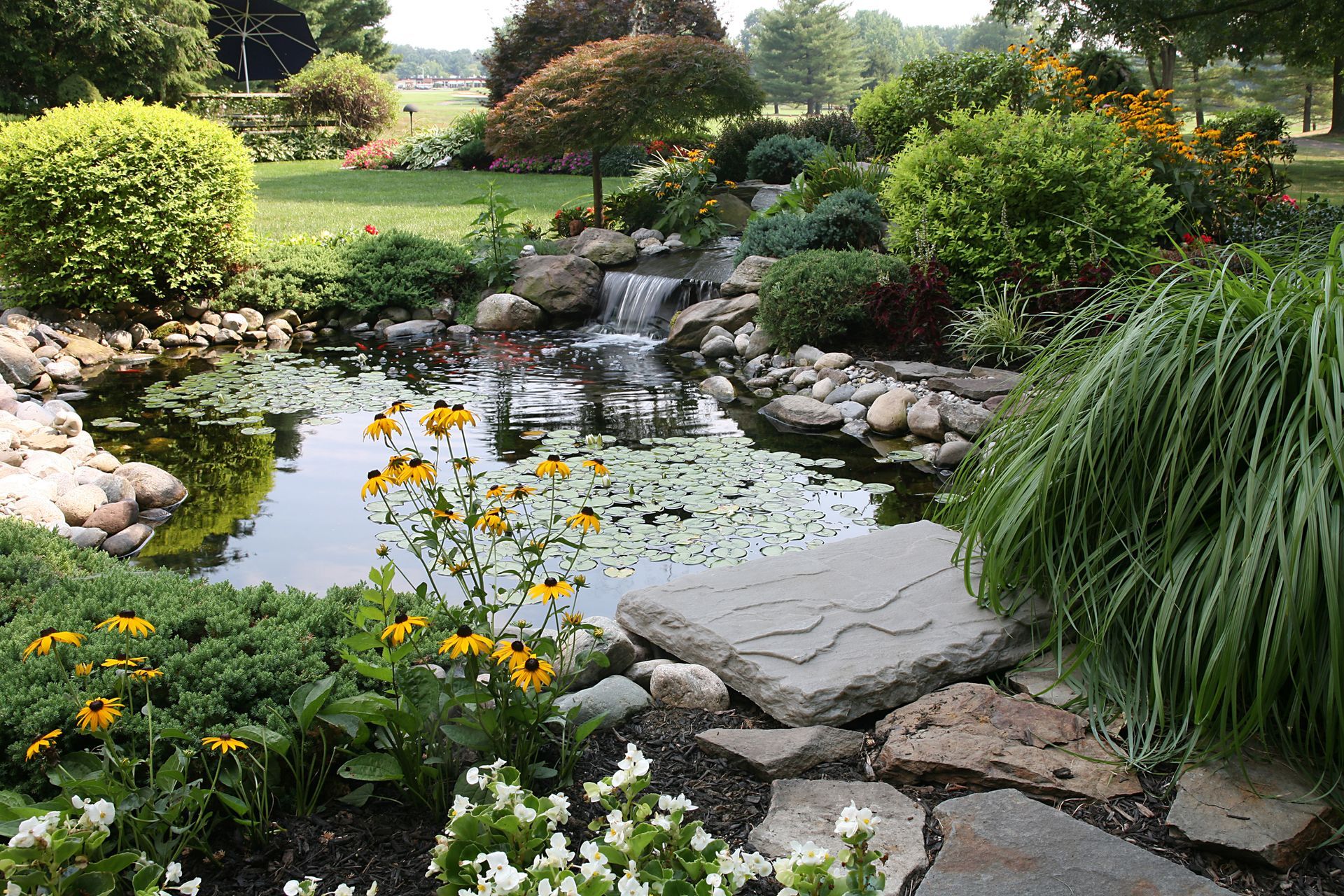 A pond with a waterfall in the middle of a garden