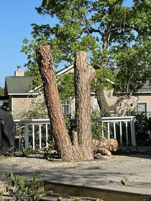 A tree stump is sitting on a patio in front of a house.