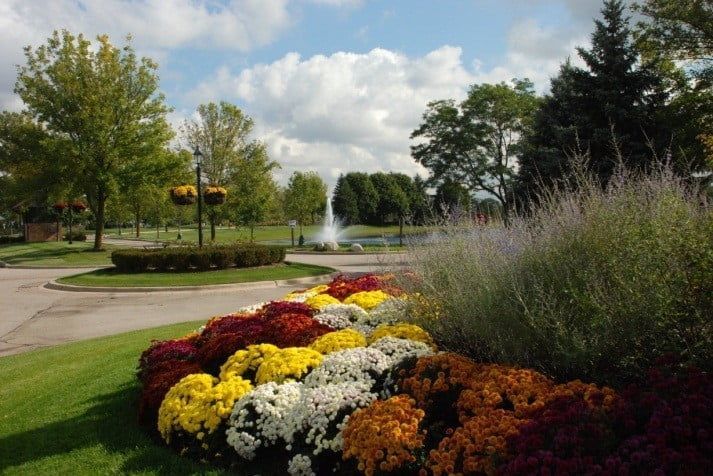 A garden with flowers and a fountain in the background