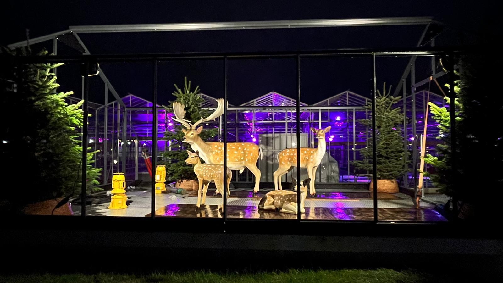 Winterfair van Zone College, aangekleed door Plan X Events: winterdecor met verlichte hertenfiguren