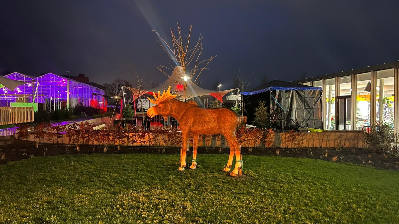 Winterfair van Zone College, aangekleed door Plan X Events:
