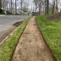 Narrow concrete sidewalk along a tree-lined residential street beside a grassy slope