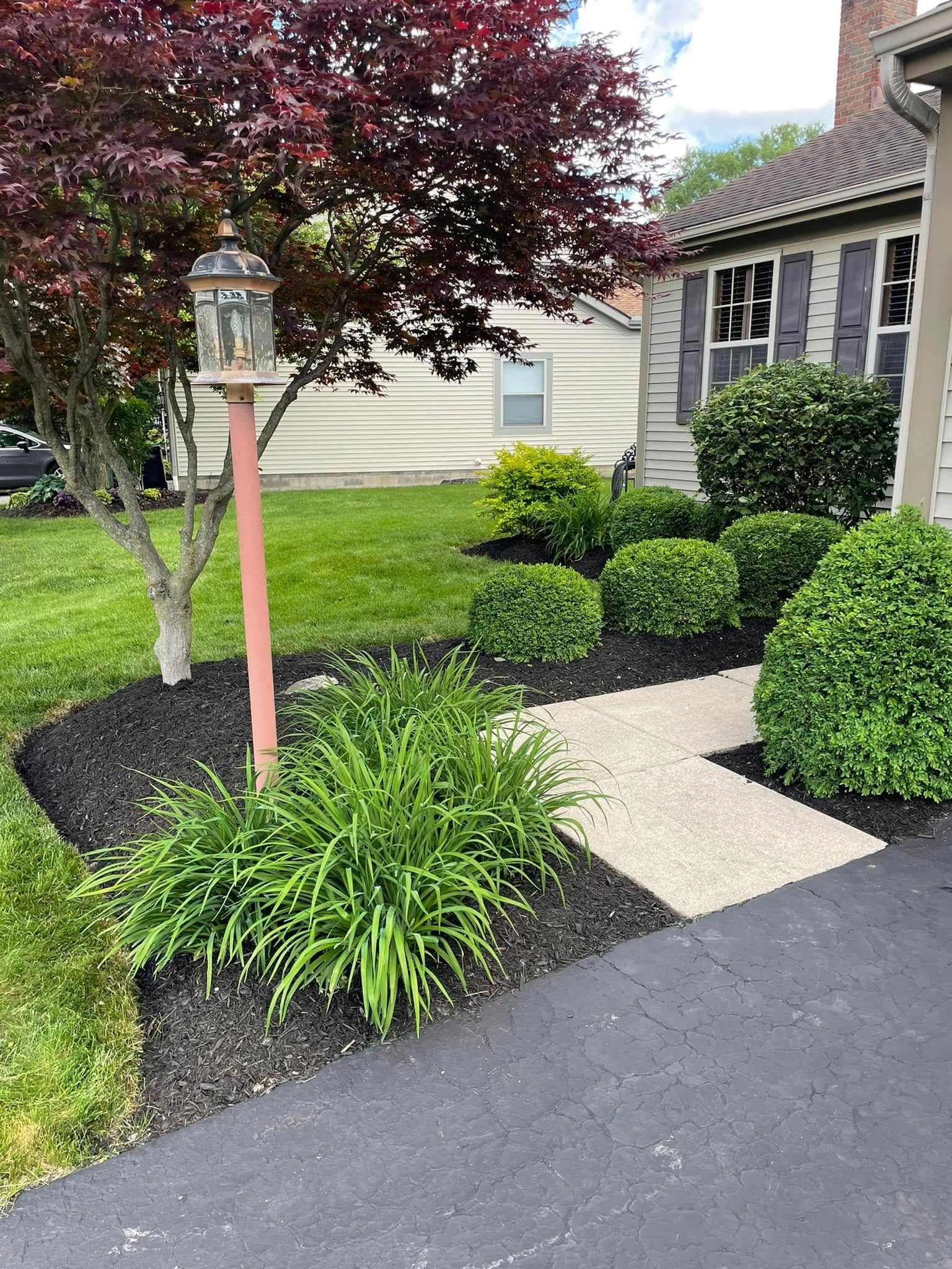 Front yard walkway with shrubs, a lamp post, and a house exterior.