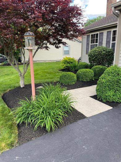 Front yard garden with pink lamp post, trimmed shrubs, stone path, and driveway beside a house