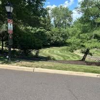 Streetlamp beside a mowed grassy slope and trees along a roadside