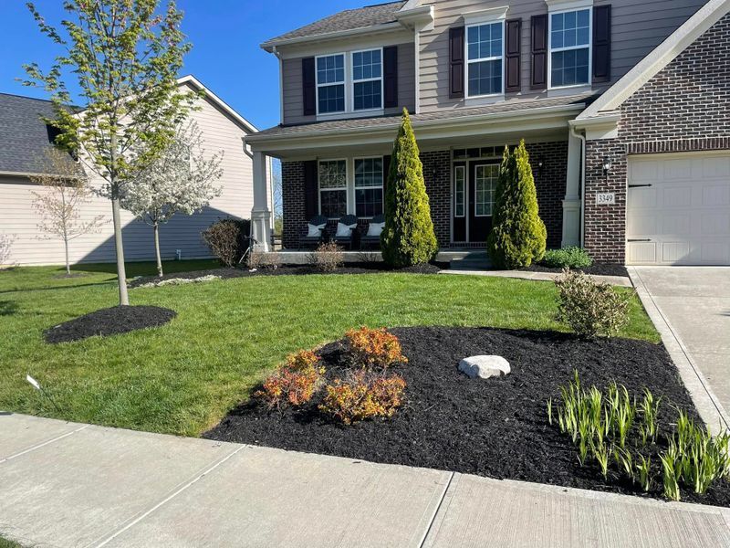 Suburban house with a front lawn, young tree, and black mulch flower bed by the driveway