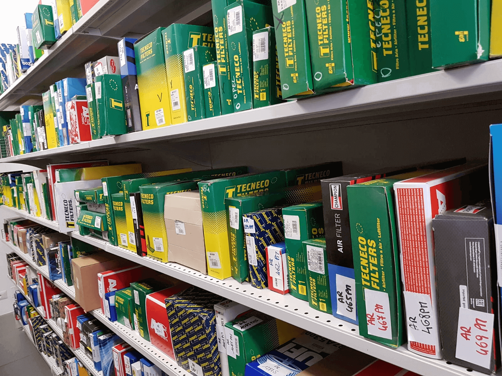 File di libri verdi, rossi e blu sugli scaffali della biblioteca, con etichette scritte a mano sul dorso.