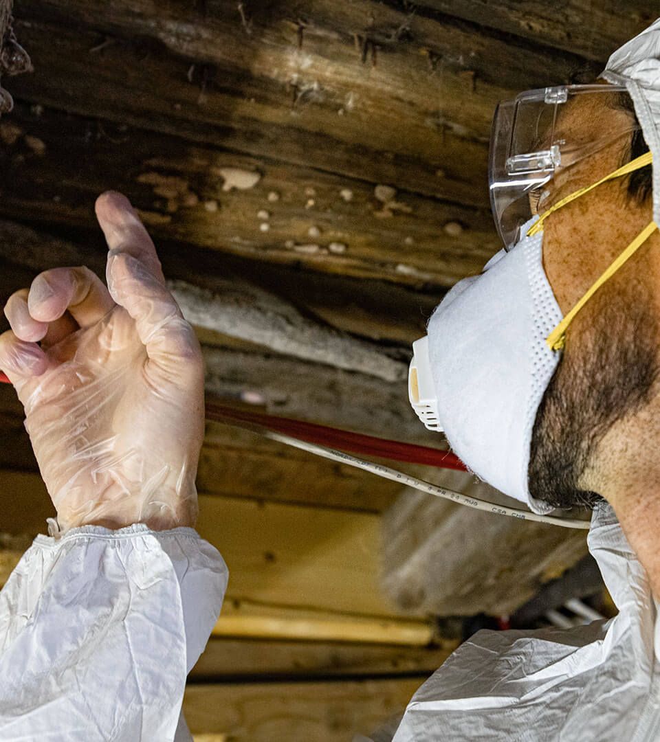 a man wearing a mask and goggles is looking under a wooden ceiling .