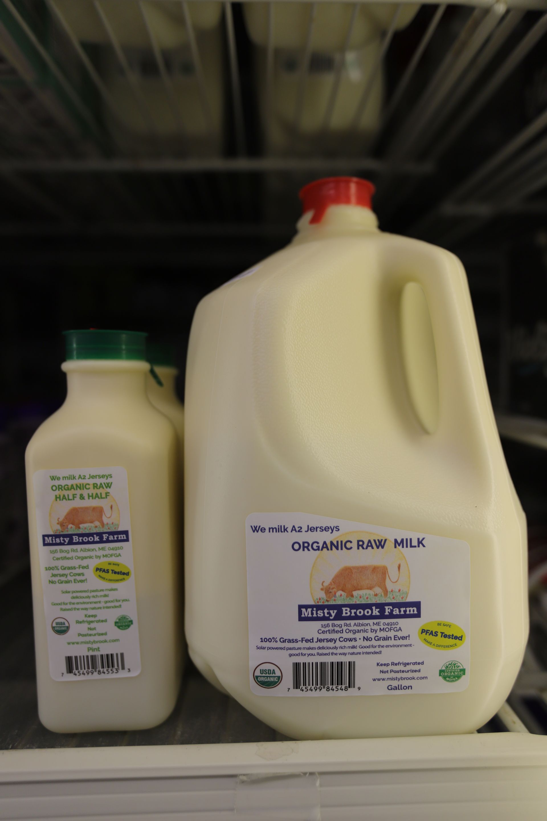 Two jugs of Miller’s Organic Raw Milk, one gallon and one half-gallon, sitting on a refrigerator shelf.