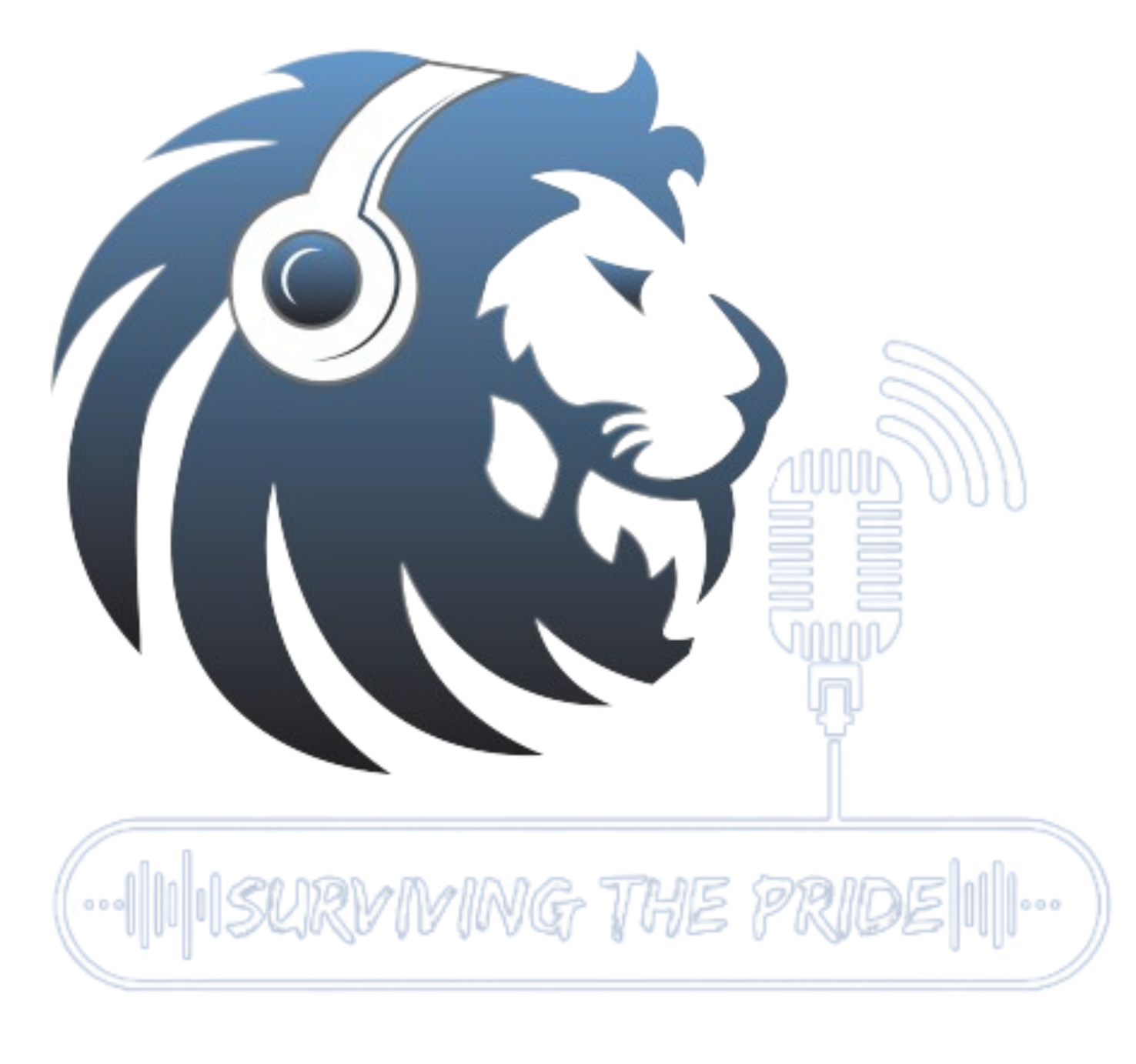 Digital Kings Networking SEO Service Charlotte, NC