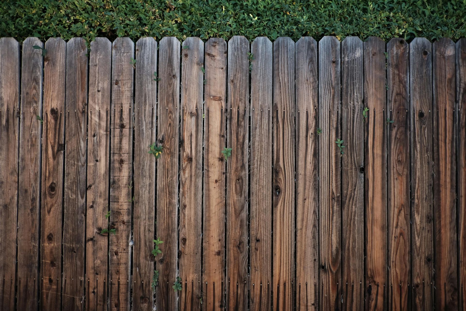 Fencing contractor in Federal Way, WA