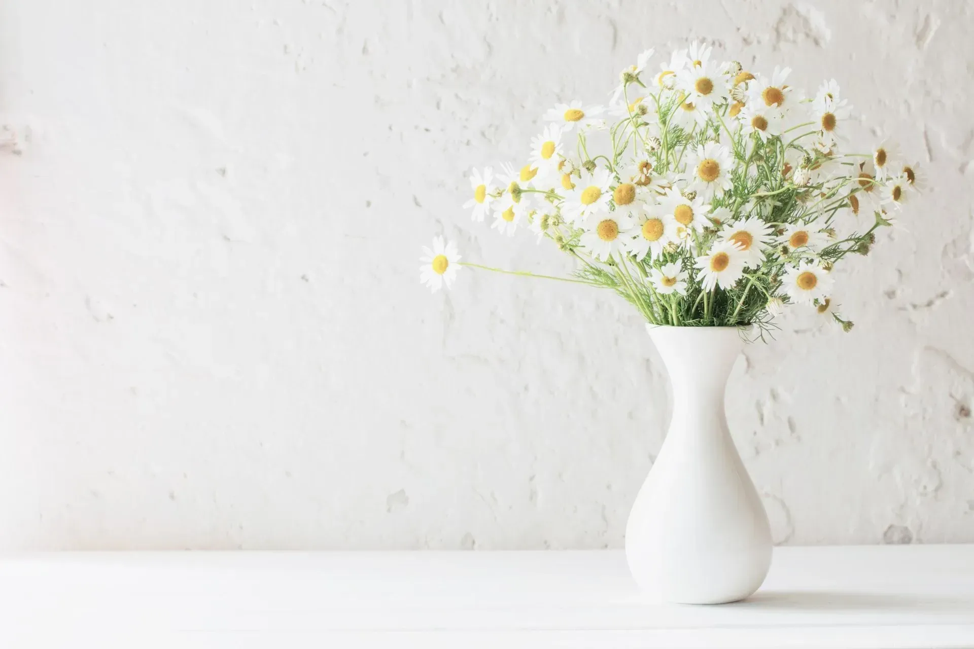 White vase with daisies against a white textured wall and table.