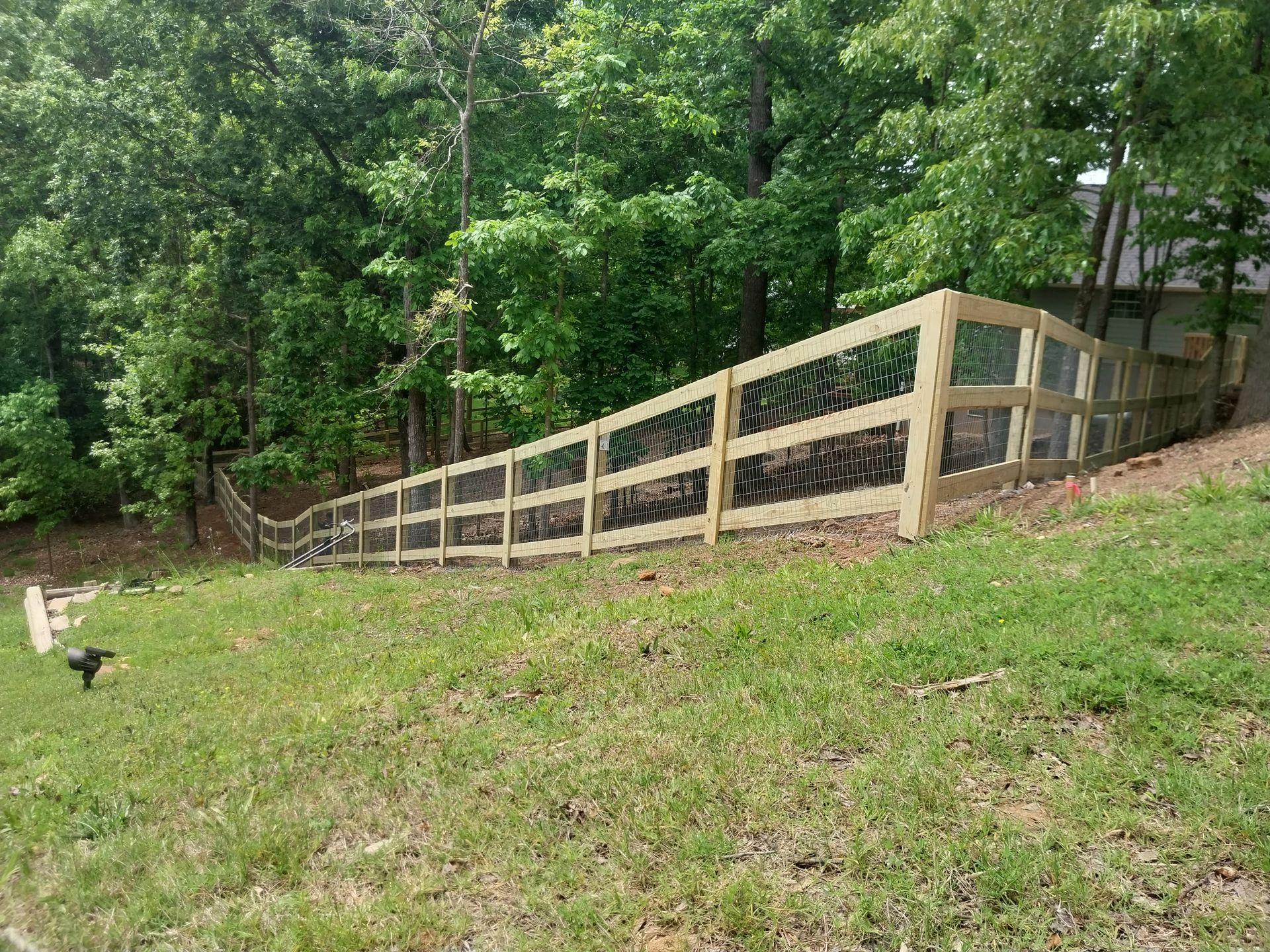 Wooden fence along a grassy slope beside dense green trees; a small black-and-white bird is in the foreground.