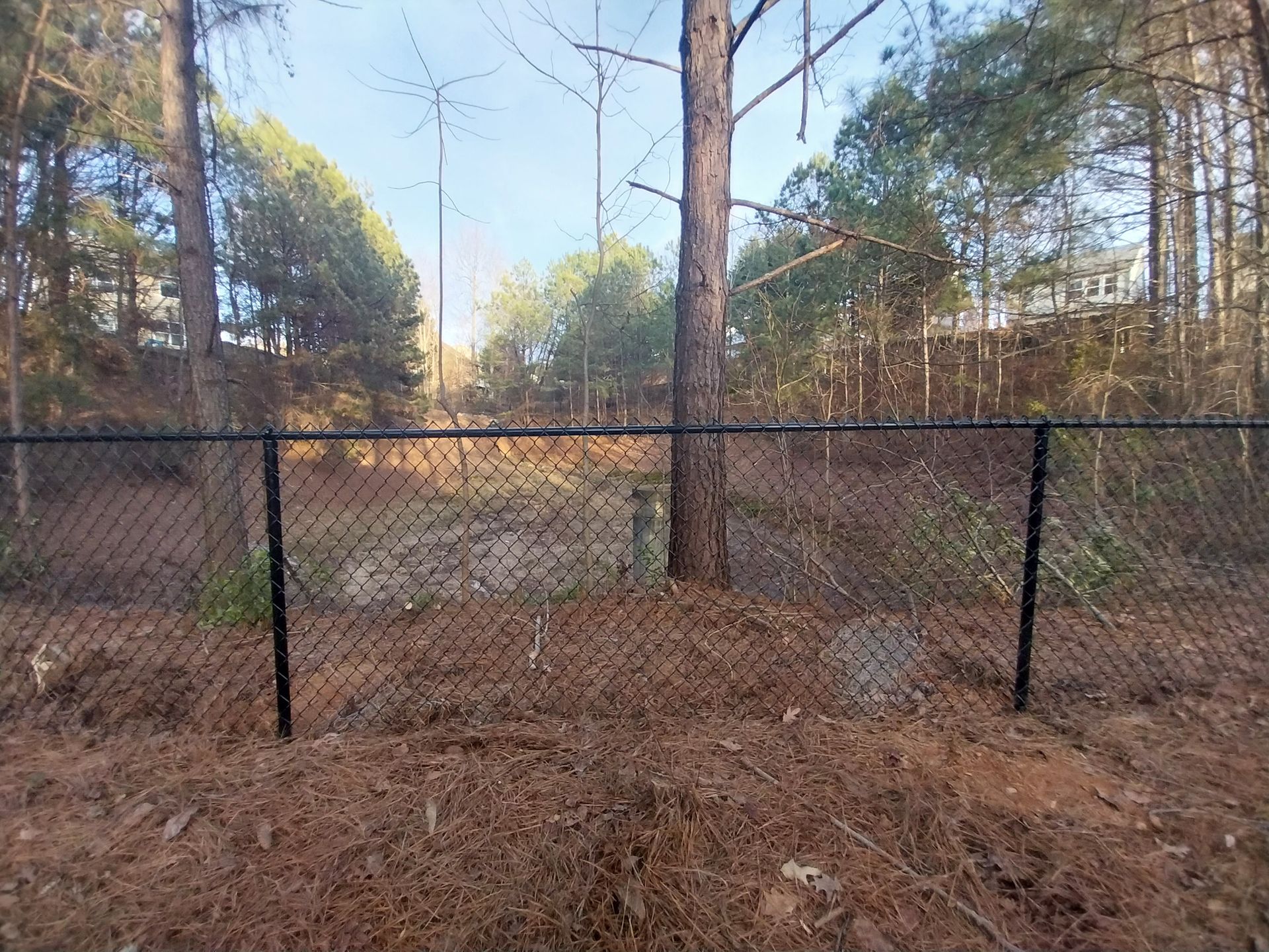 Chain-link fence across a wooded dirt lot in daylight