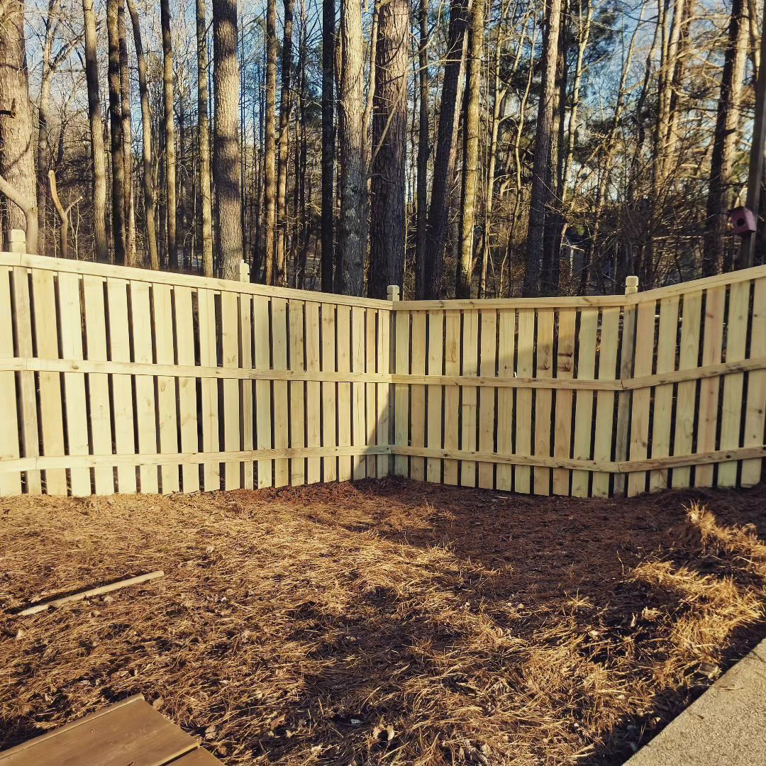 Curved white wooden fence around a bare yard with tall trees in the background