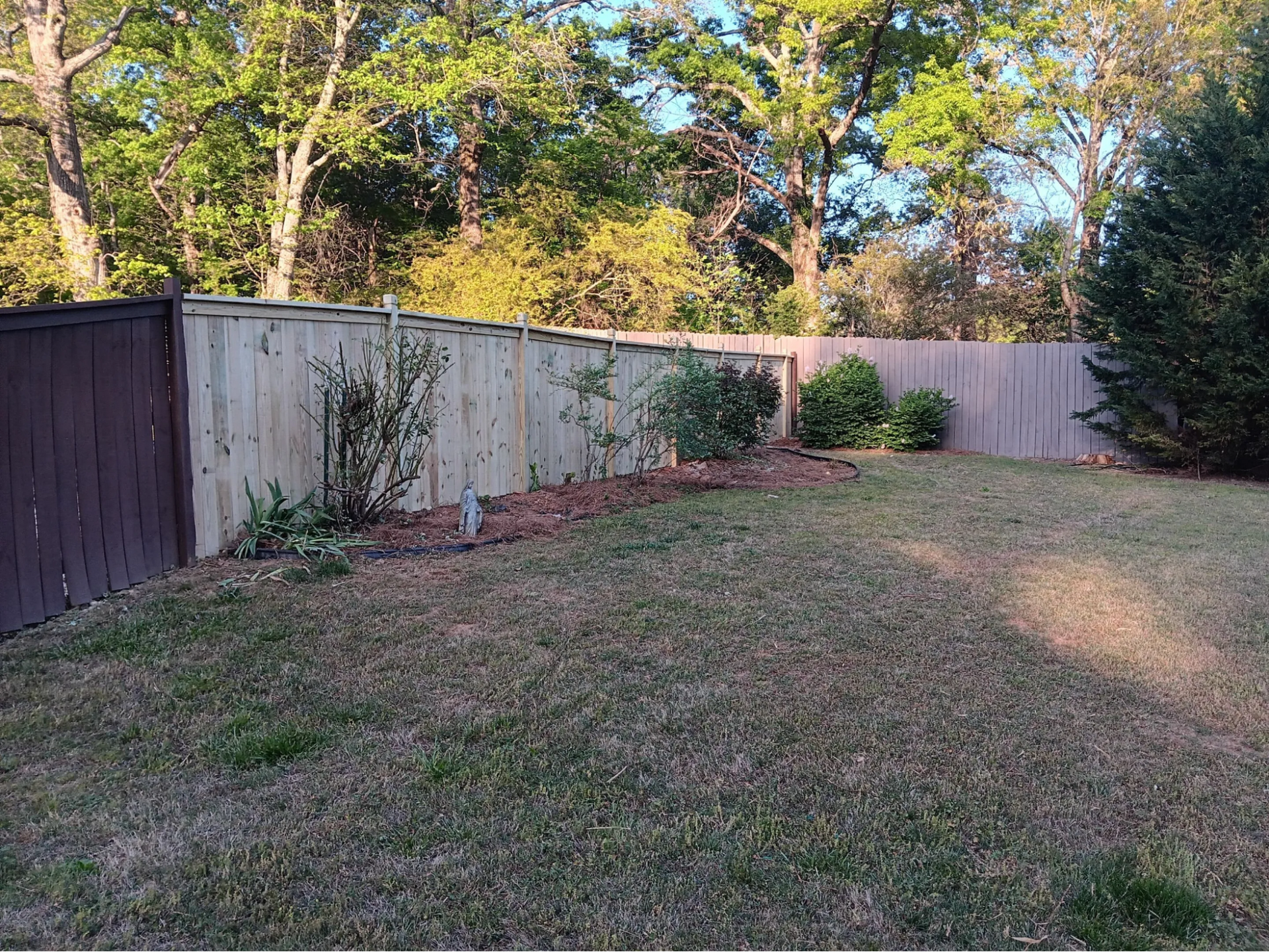 Backyard with grass, wooden fence, and trees in the background